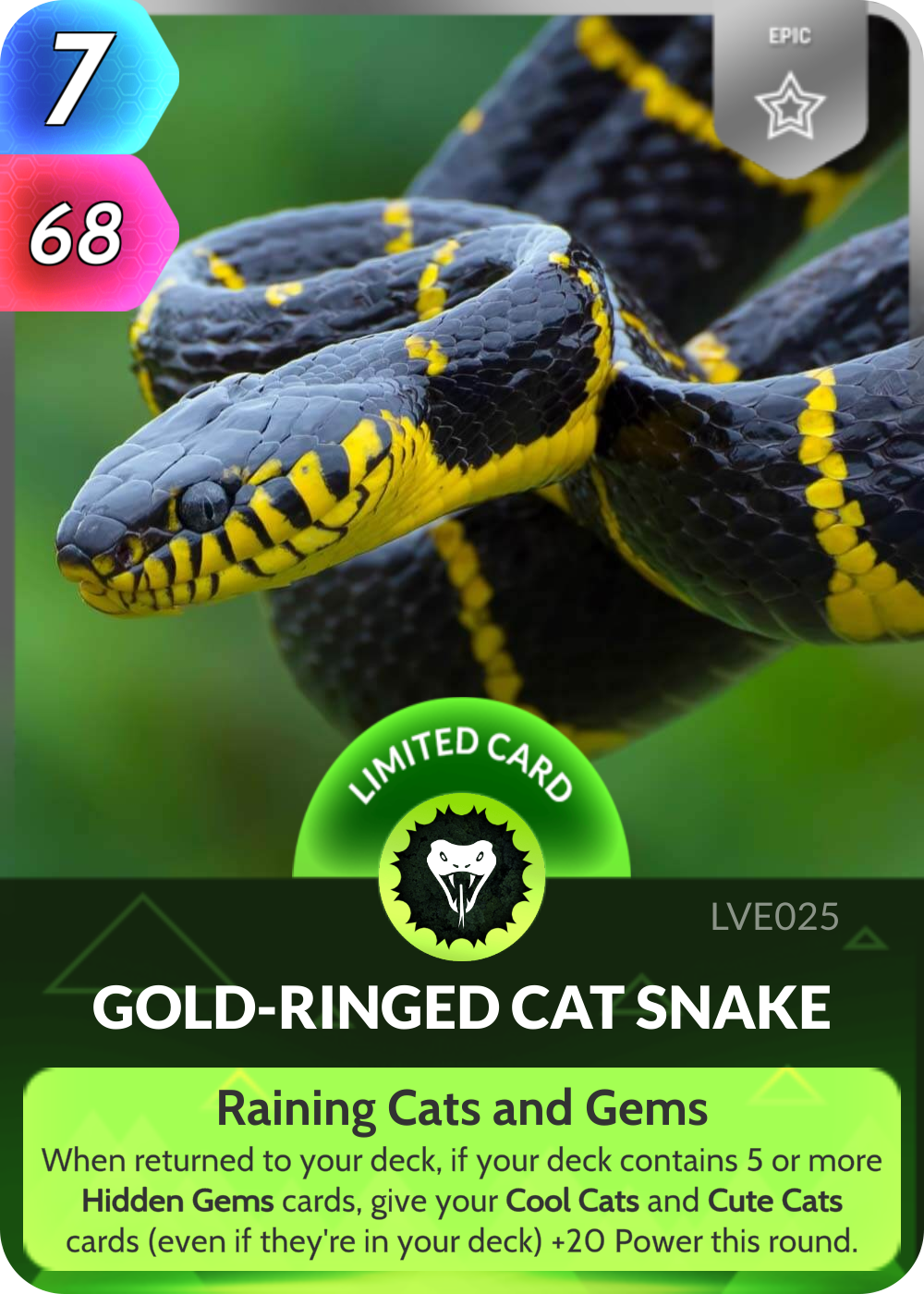 Goldringed Cat Snake